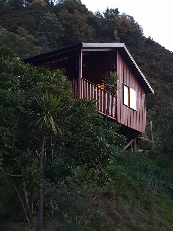 Garden View Cottages Picton Bagian luar foto